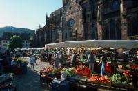 Farmers Market Farmers Market