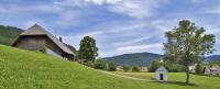 Near Freiburg